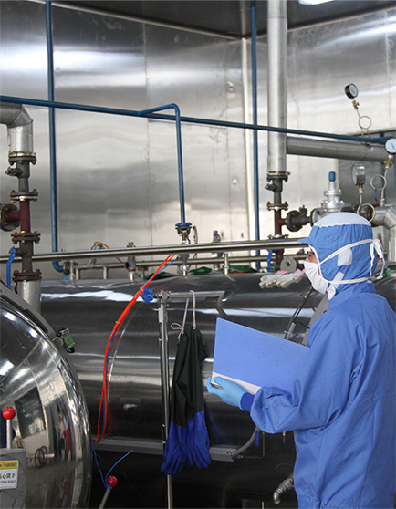 �ʰ�������